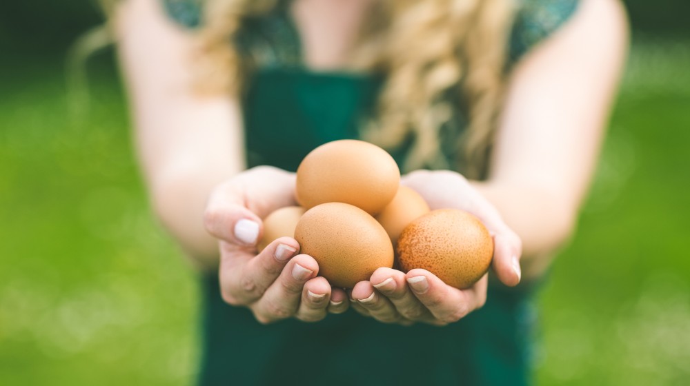 organic agriculture business